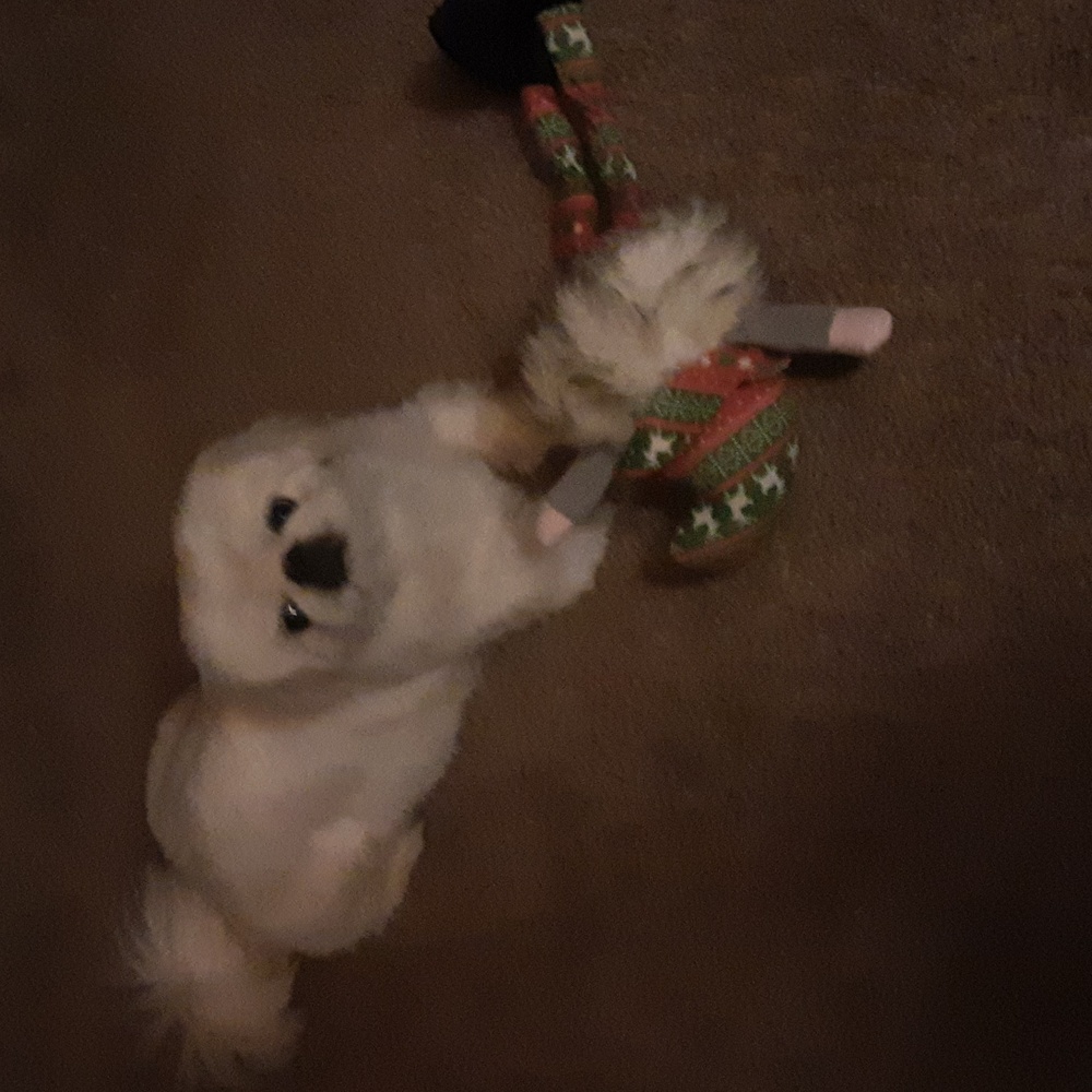 Meet your Posher, Tucker